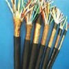 儀表用控制電纜、數(shù)字巡回檢測(cè)裝置用屏蔽電纜